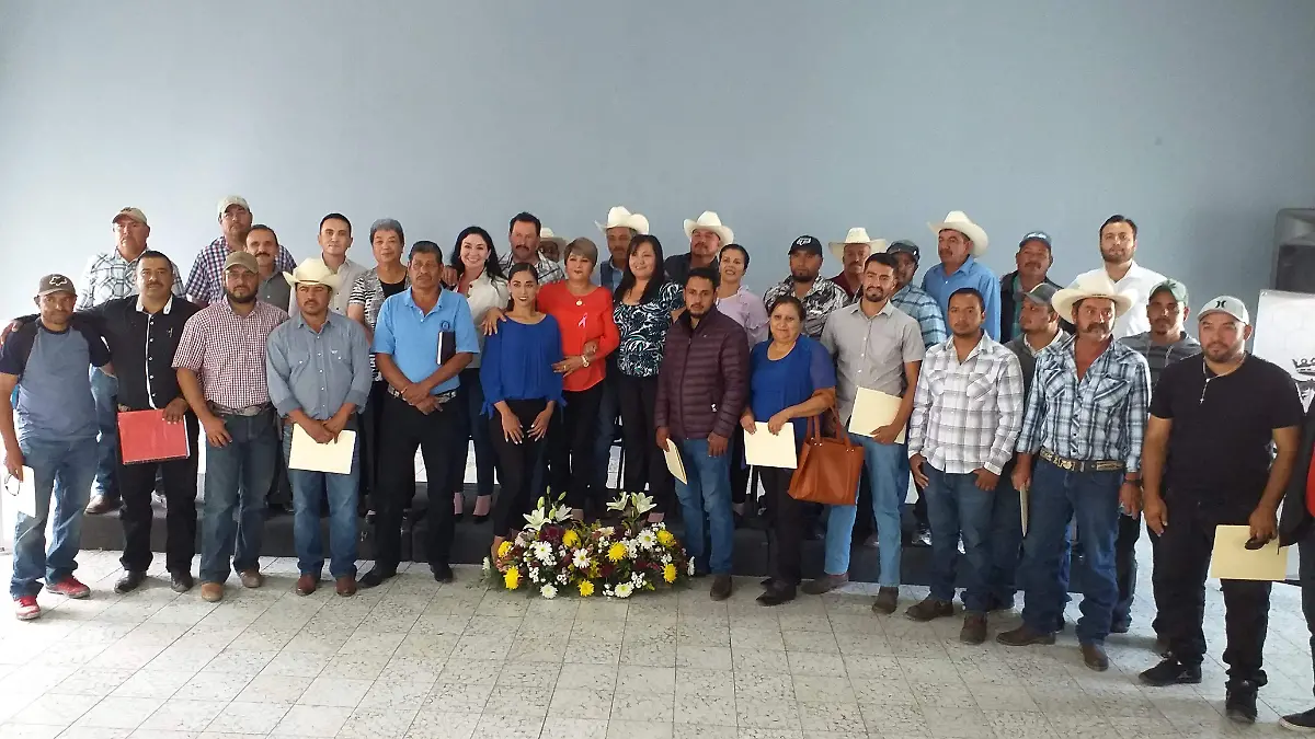 autoridades auxiliares